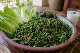 طبق تقديم فخاري واسع يحمل كومة من التبولة اللبنانية الطازجة بألوانها الزاهية، يطغى عليها البقدونس الأخضر المفروم ناعماً والممزوج بالبرغل الناعم والطماطم الحمراء المقطعة مكعبات والبصل الأخضر، مع أوراق النعناع الأخضر، يعلوها رذاذ زيت الزيتون البكر وعصير الليمون، بجانب أوراق خس روماني طازجة وورق عنب وكأس لبن رايب، على مائدة لبنانية صيفية
